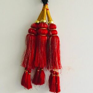 Red Punjabi Paranda