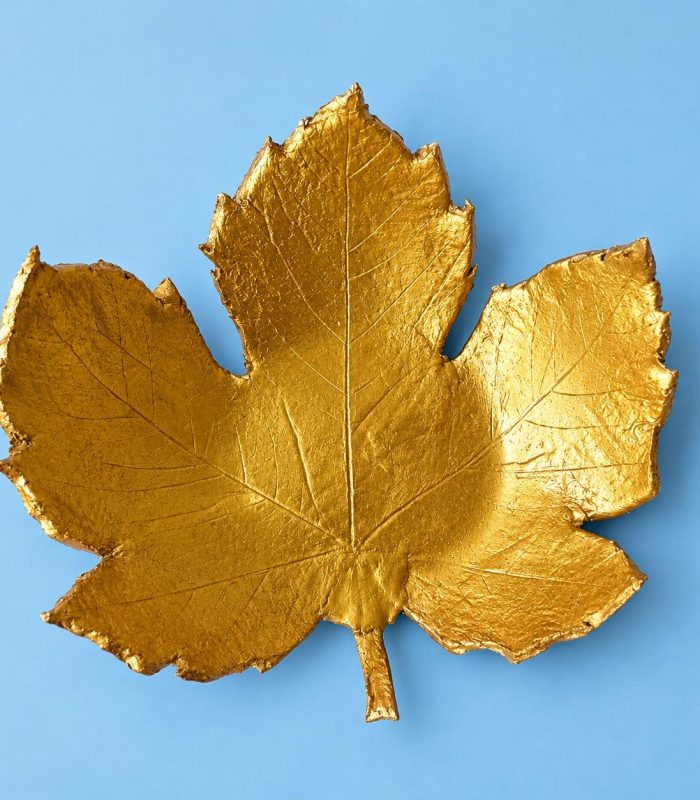 Leaf Shape Clay Holder